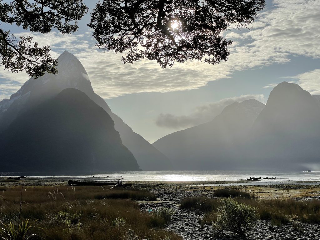 Bringing Your KiwiSaver to Australia: What You Need to Know