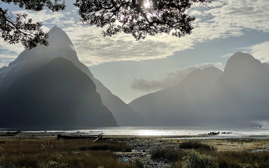 Bringing Your KiwiSaver to Australia: What You Need to Know